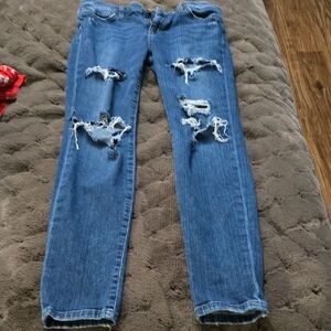 Joe's Jeans The Icon Skinny Jeans